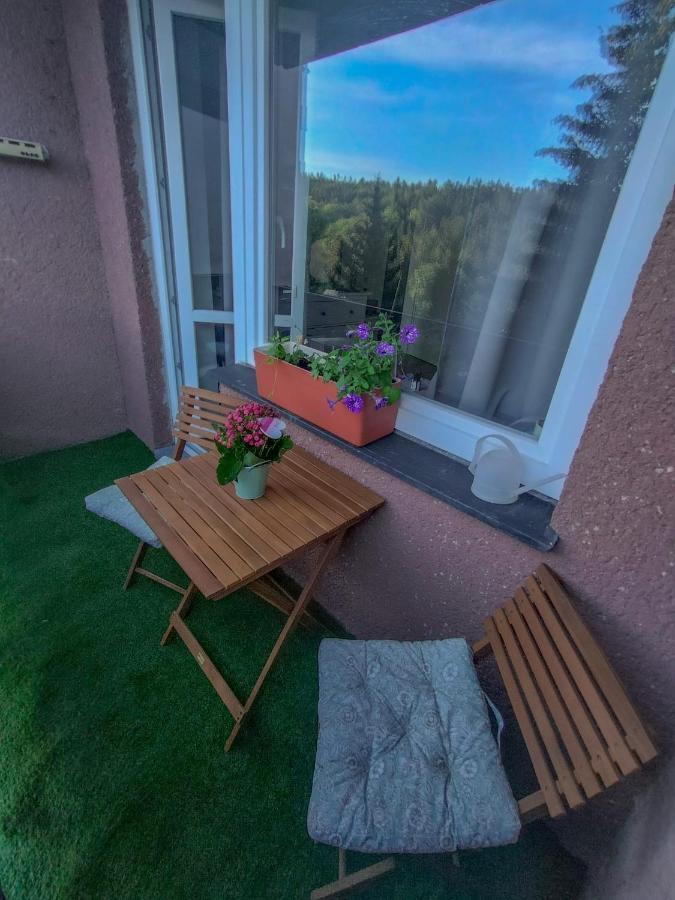 Apartmánek Protěž Janske Lazne Exterior foto