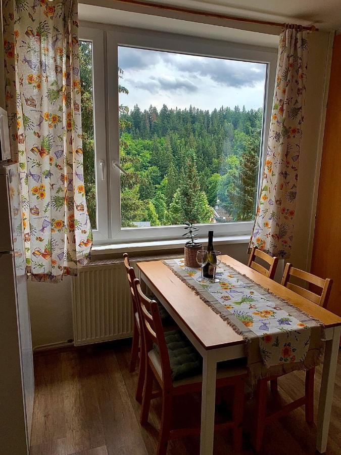 Apartmánek Protěž Janske Lazne Exterior foto