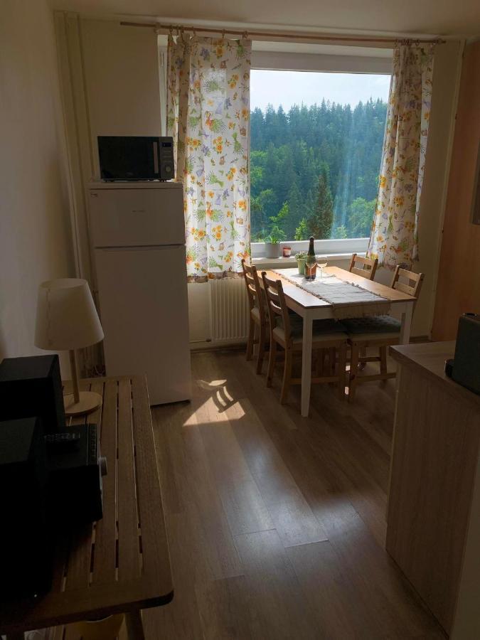 Apartmánek Protěž Janske Lazne Exterior foto